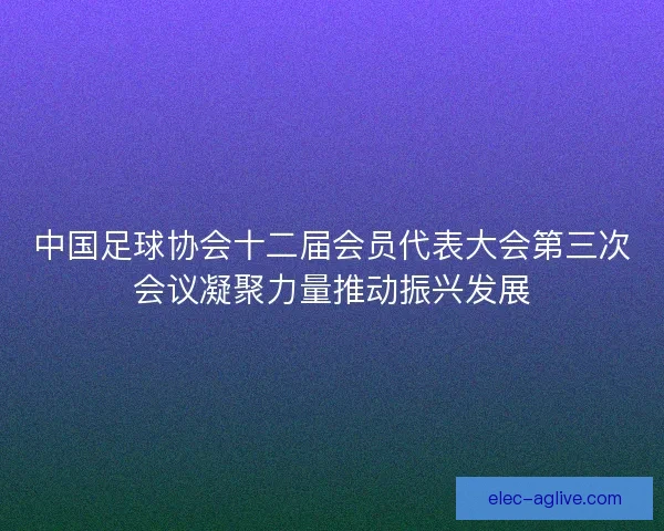 中国足球协会十二届会员代表大会第三次会议凝聚力量推动振兴发展